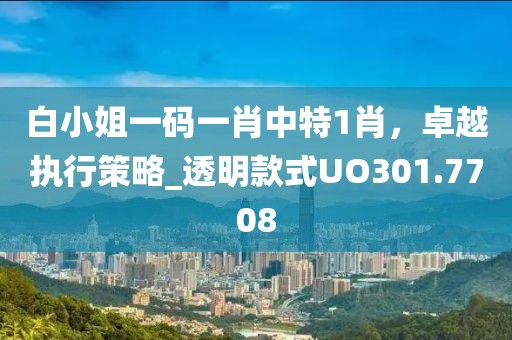 白小姐一码一肖中特1肖，卓越执行策略_透明款式UO301.7708
