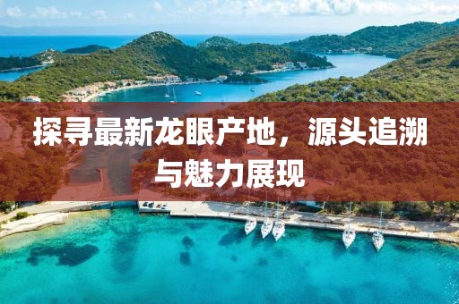 探寻最新龙眼产地，源头追溯与魅力展现