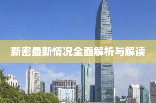 新密最新情况全面解析与解读
