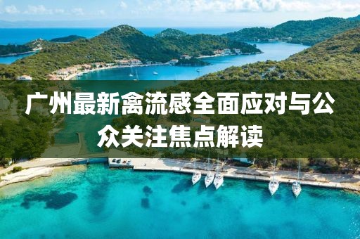 广州最新禽流感全面应对与公众关注焦点解读