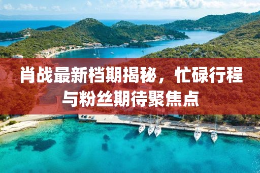 肖战最新档期揭秘，忙碌行程与粉丝期待聚焦点