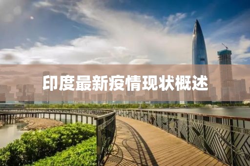 印度最新疫情现状概述