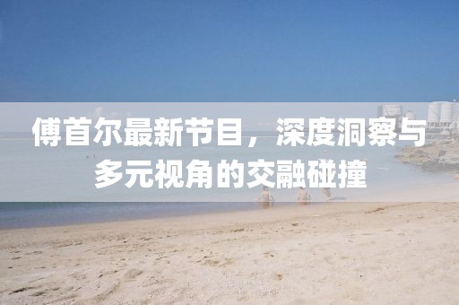 傅首尔最新节目，深度洞察与多元视角的交融碰撞