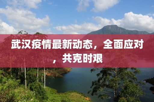 武汉疫情最新动态，全面应对，共克时艰