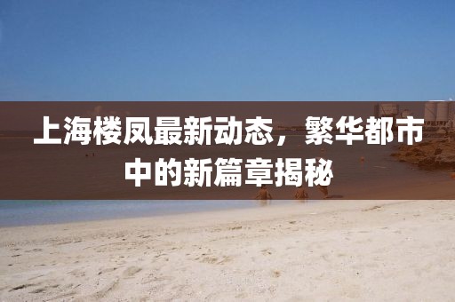 上海楼凤最新动态，繁华都市中的新篇章揭秘