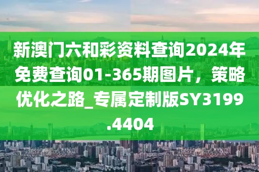 新澳门六和彩资料查询2024年免费查询01-365期图片，策略优化之路_专属定制版SY3199.4404