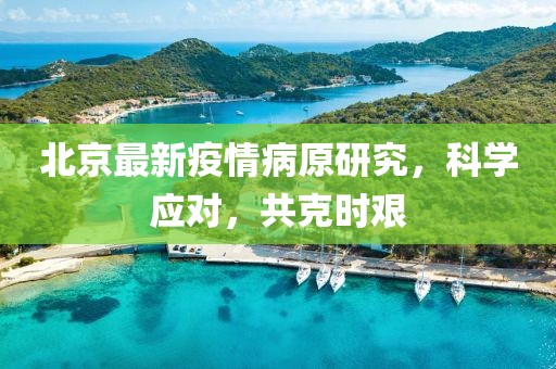 北京最新疫情病原研究，科学应对，共克时艰