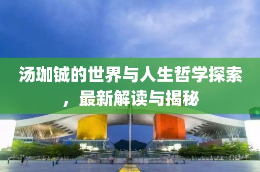 汤珈铖的世界与人生哲学探索，最新解读与揭秘