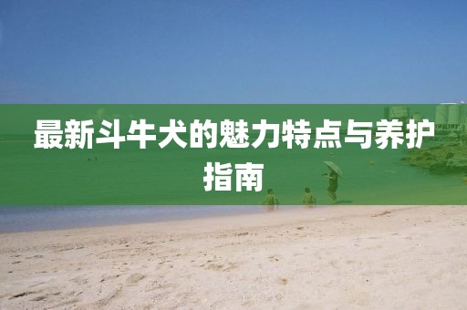 盛夏 第11页