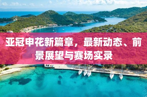 亚冠申花新篇章，最新动态、前景展望与赛场实录