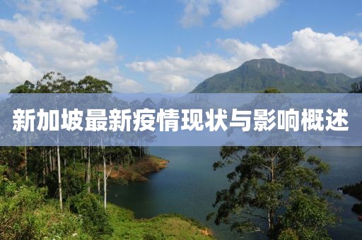 新加坡最新疫情现状与影响概述