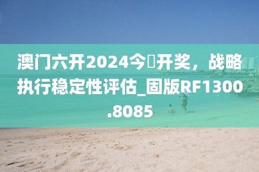 澳门六开2024今晩开奖，战略执行稳定性评估_固版RF1300.8085