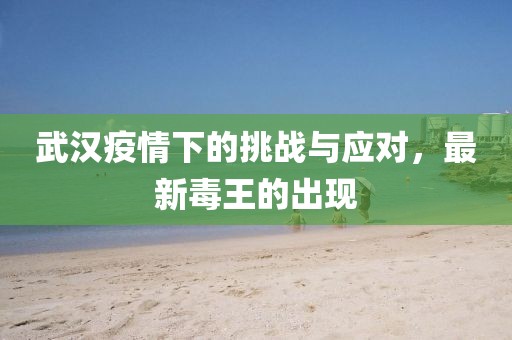 武汉疫情下的挑战与应对，最新毒王的出现