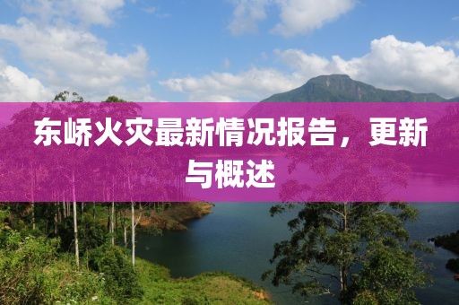 东峤火灾最新情况报告，更新与概述