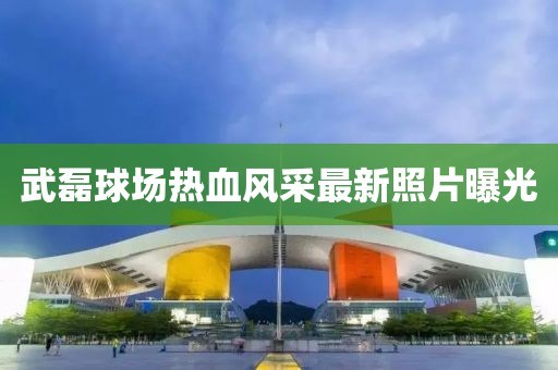武磊球场热血风采最新照片曝光