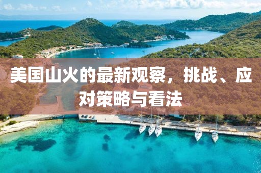 美国山火的最新观察，挑战、应对策略与看法