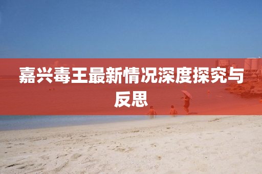 嘉兴毒王最新情况深度探究与反思