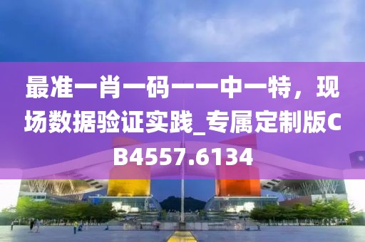 最准一肖一码一一中一特，现场数据验证实践_专属定制版CB4557.6134