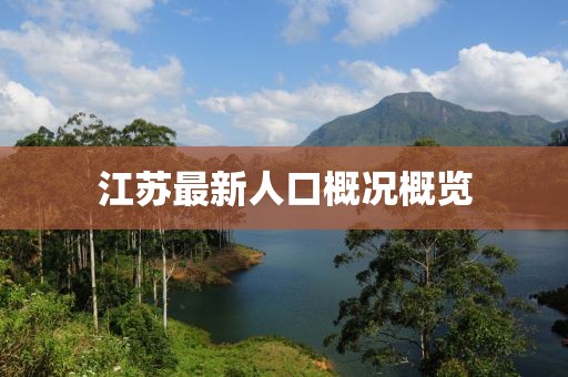 江苏最新人口概况概览