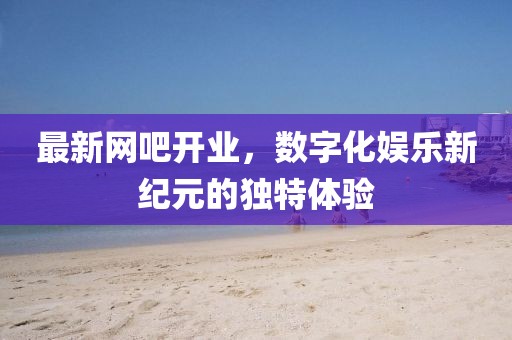 最新网吧开业，数字化娱乐新纪元的独特体验