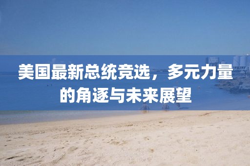 美国最新总统竞选，多元力量的角逐与未来展望