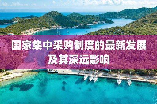 国家集中采购制度的最新发展及其深远影响
