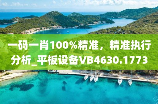 一码一肖100%精准，精准执行分析_平板设备VB4630.1773