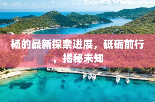 杨的最新探索进展，砥砺前行，揭秘未知