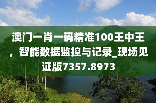 澳门一肖一码精准100王中王，智能数据监控与记录_现场见证版7357.8973