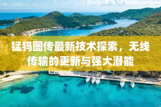 猛犸图传最新技术探索，无线传输的更新与强大潜能