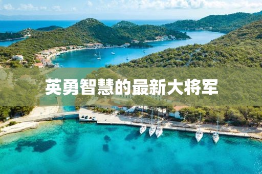 英勇智慧的最新大将军