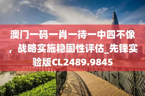 澳门一码一肖一待一中四不像，战略实施稳固性评估_先锋实验版CL2489.9845