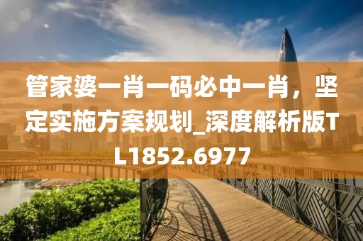管家婆一肖一码必中一肖，坚定实施方案规划_深度解析版TL1852.6977