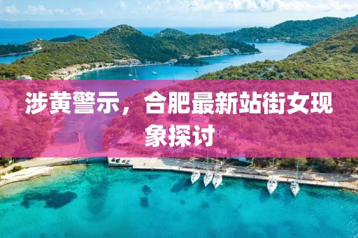 涉黄警示，合肥最新站街女现象探讨