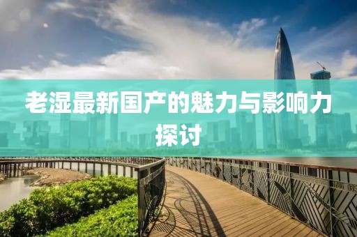 老湿最新国产的魅力与影响力探讨