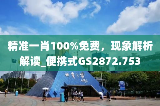 精准一肖100%免费，现象解析解读_便携式GS2872.753