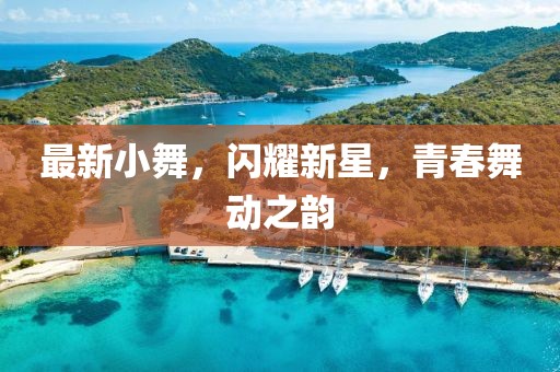 最新小舞，闪耀新星，青春舞动之韵