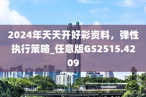 2024年天天开好彩资料，弹性执行策略_任意版GS2515.4209
