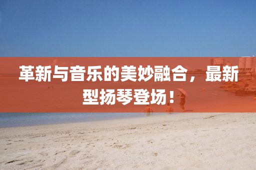 革新与音乐的美妙融合，最新型扬琴登场！