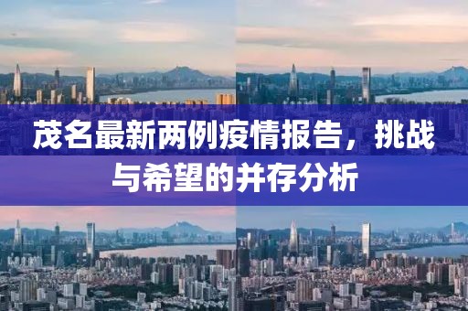 花开无言 第43页