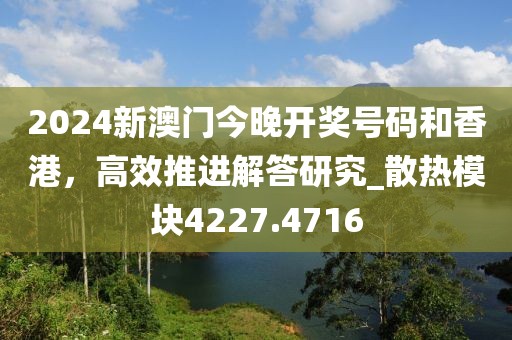 2024新澳门今晚开奖号码和香港，高效推进解答研究_散热模块4227.4716