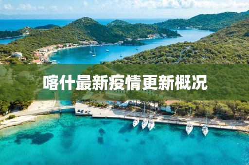 喀什最新疫情更新概况