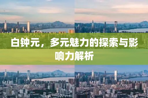 白钟元，多元魅力的探索与影响力解析