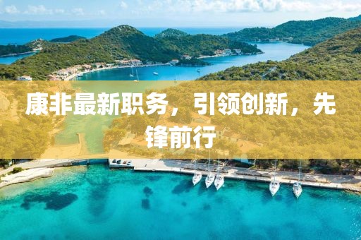 康非最新职务，引领创新，先锋前行