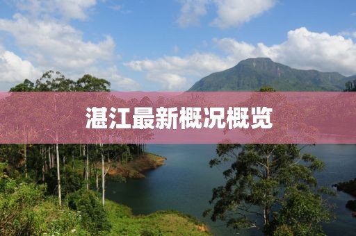 湛江最新概况概览