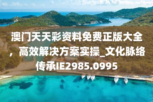 澳门天天彩资料免费正版大全，高效解决方案实操_文化脉络传承IE2985.0995