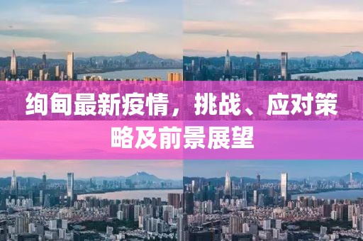 绚甸最新疫情，挑战、应对策略及前景展望