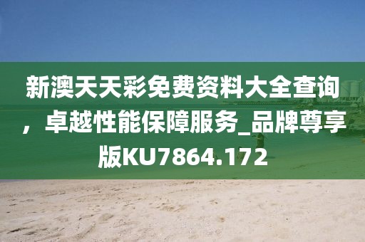 新澳天天彩免费资料大全查询，卓越性能保障服务_品牌尊享版KU7864.172