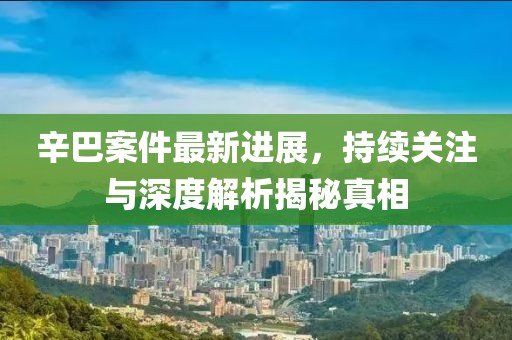 辛巴案件最新进展，持续关注与深度解析揭秘真相