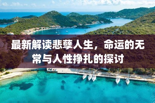 最新解读悲孽人生，命运的无常与人性挣扎的探讨